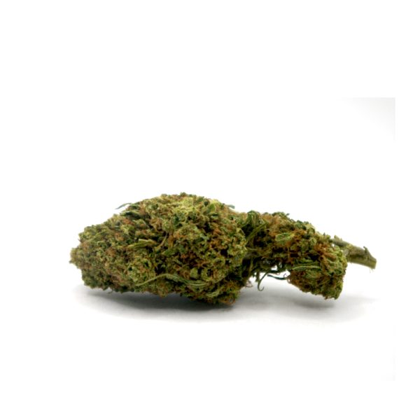 Veraseed Flores CBD Jack Herer Greenhouse