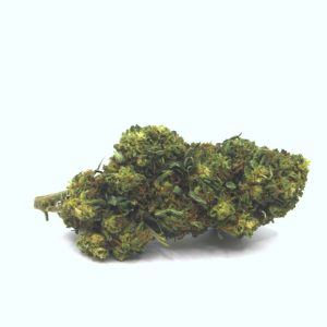 Veraseed Flores CBD Mimosa Haze indoor