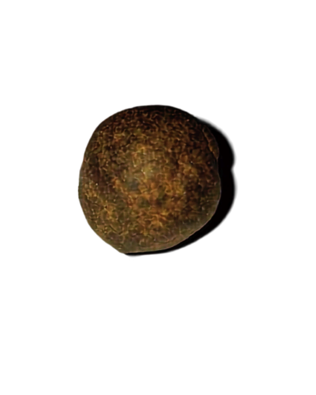 Resinas Veraseed CBD Beldia
