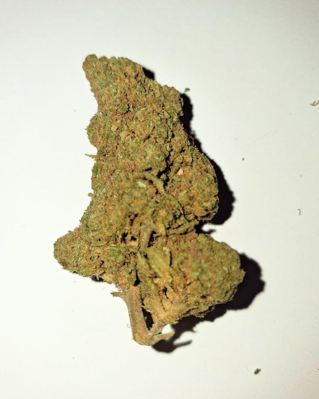 Veraseed Flores CBD Zkittlez Indoor